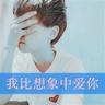 追击者